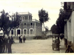 Mula Antigua serie-2